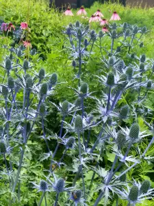 Allet 08 Tuin van het Singer Museum